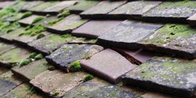 Llanerchymedd roof repair costs